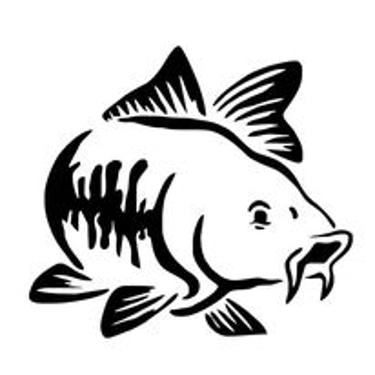 Rybáři Struhařov logo