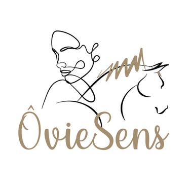 ô vie sens logo