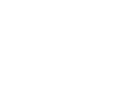 IQ Elevators logo