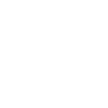 vwphotostudio logo