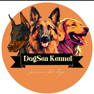 Dogsea Pet Boarding and Spa logo