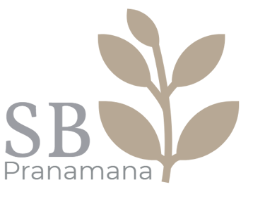 Naturopathe à REIMS et BERRU, Sergio Bénard logo