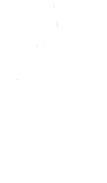 agua pura por todo logo