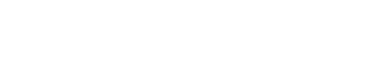 Vezlon logo