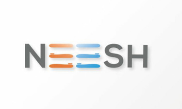 Neesh Analytics - Innovative Martech, Data & AI Tech Consulting logo
