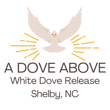 A Dove Above logo