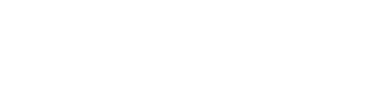 Vitor Borges // Portfolio logo