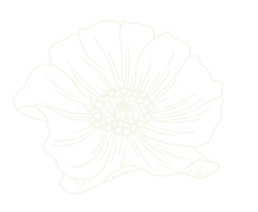 L'Isla Nova logo