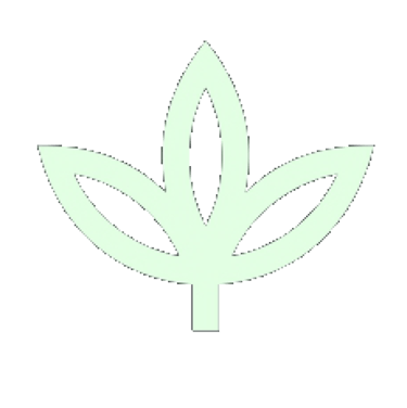 M.E.D. Distributions logo