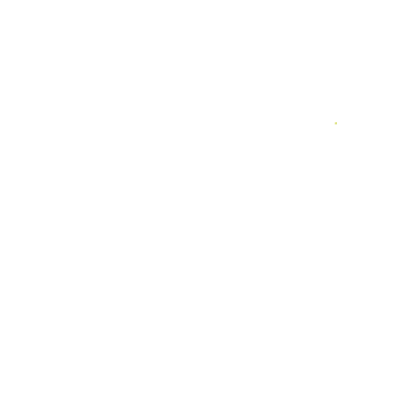 Teenage Diaries logo