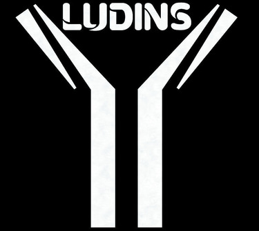 Ludins logo
