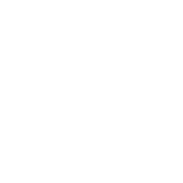Natiopark Automobiles logo
