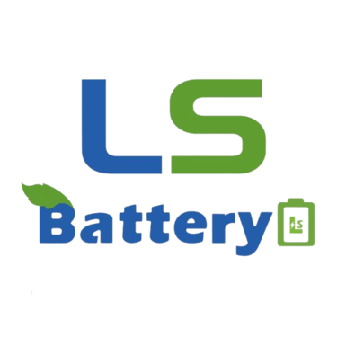 Dongguan Liushi Lithium Tech logo