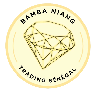 Bamba Niang Trading logo