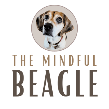 The Mindful Beagle logo