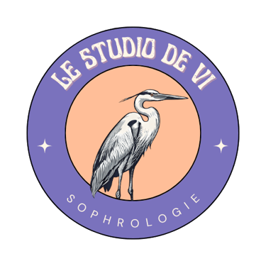 Le Studio De Vi logo