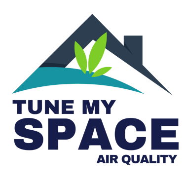Tune My Space logo