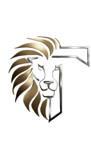 Mr.T logo