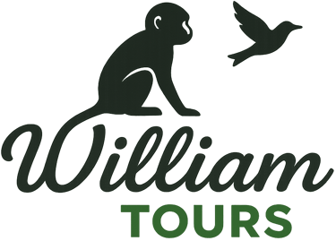 William Tours logo