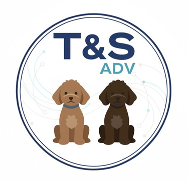 T&S ADV logo