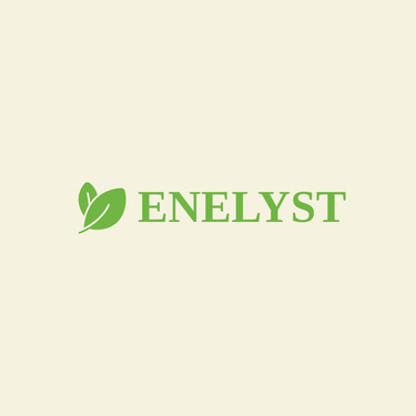 ENELYST LTD logo