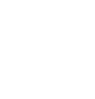 Denizli vize danışmanlık logo