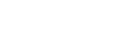 FSX24 logo
