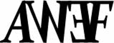 Anike Women empowerment foundation logo