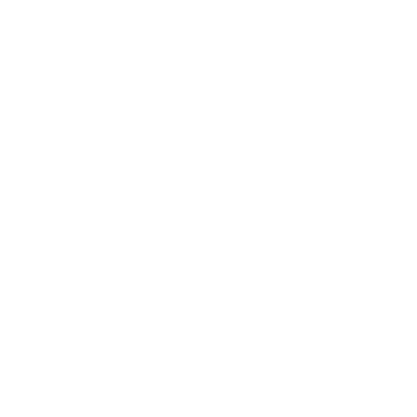 MENNOVA logo
