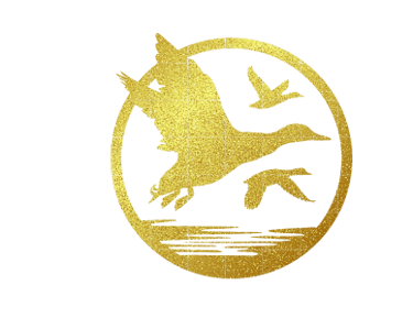 Richtig auswandern logo