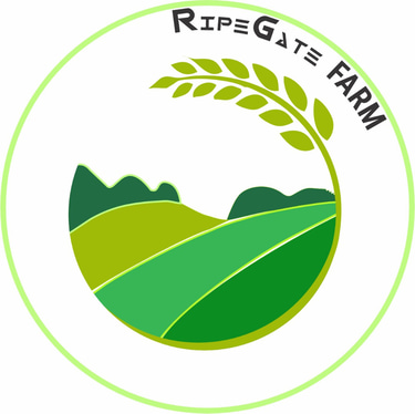 Ripegate logo