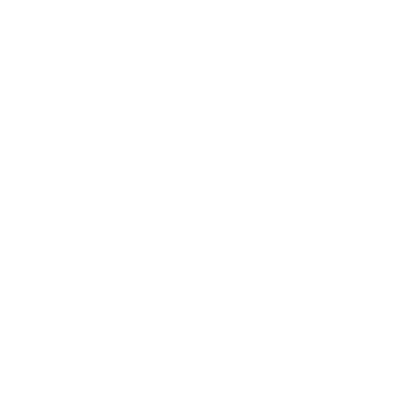 Estudio Dolla logo