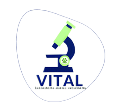 Clínica Veterinária Vital logo
