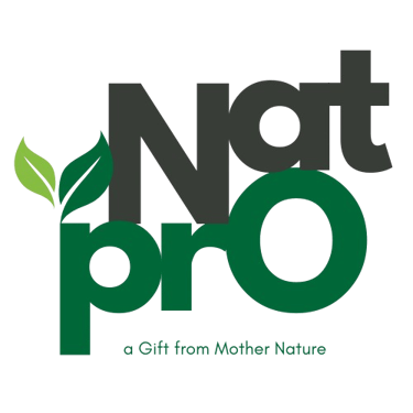 NatPro logo
