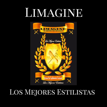 Academia de Belleza Limagine logo