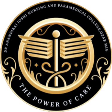 Dr.Anandibai Joshi Educational Institute logo