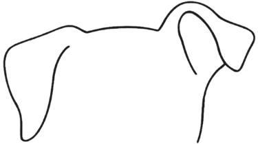 CR Strategies logo