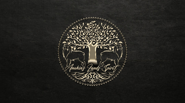 Anakin's lands spirit logo