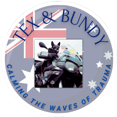 Tex & Bundy - Calming The Waves of Trauma for Veteran/EMS logo