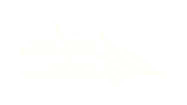 Ahmad Haddad logo