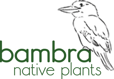 Bambra Native Plants logo