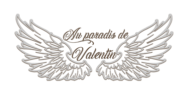 Au paradis de Valentin logo