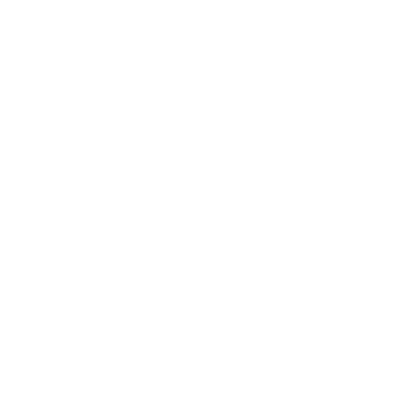 Fer lopes designer logo