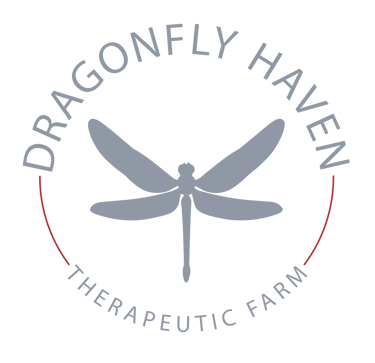 Dragonfly Haven Therapeutic Farm logo
