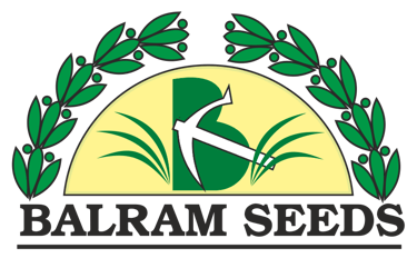 Balramseeds logo