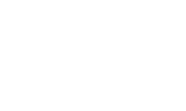 Marti Coaching logo