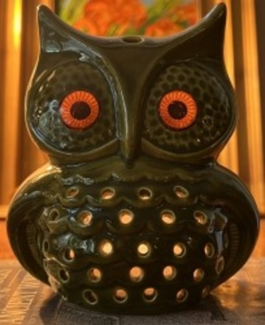 The Green Owl Gallery logo