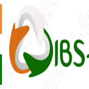 IBS-SARL logo