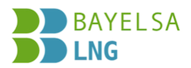 Bayelsa LNG logo