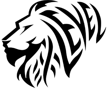 Next Level Athletic Academy logo